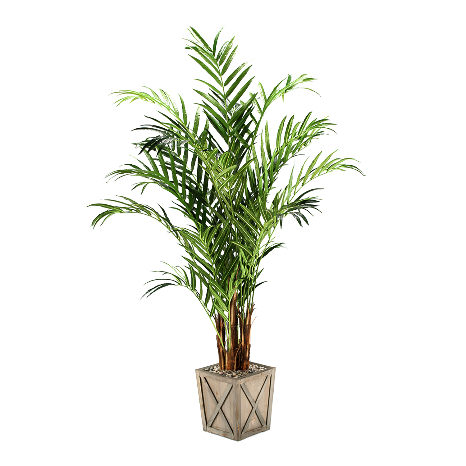 Kentia Palm Tree in Grange Planter 8' - 316403