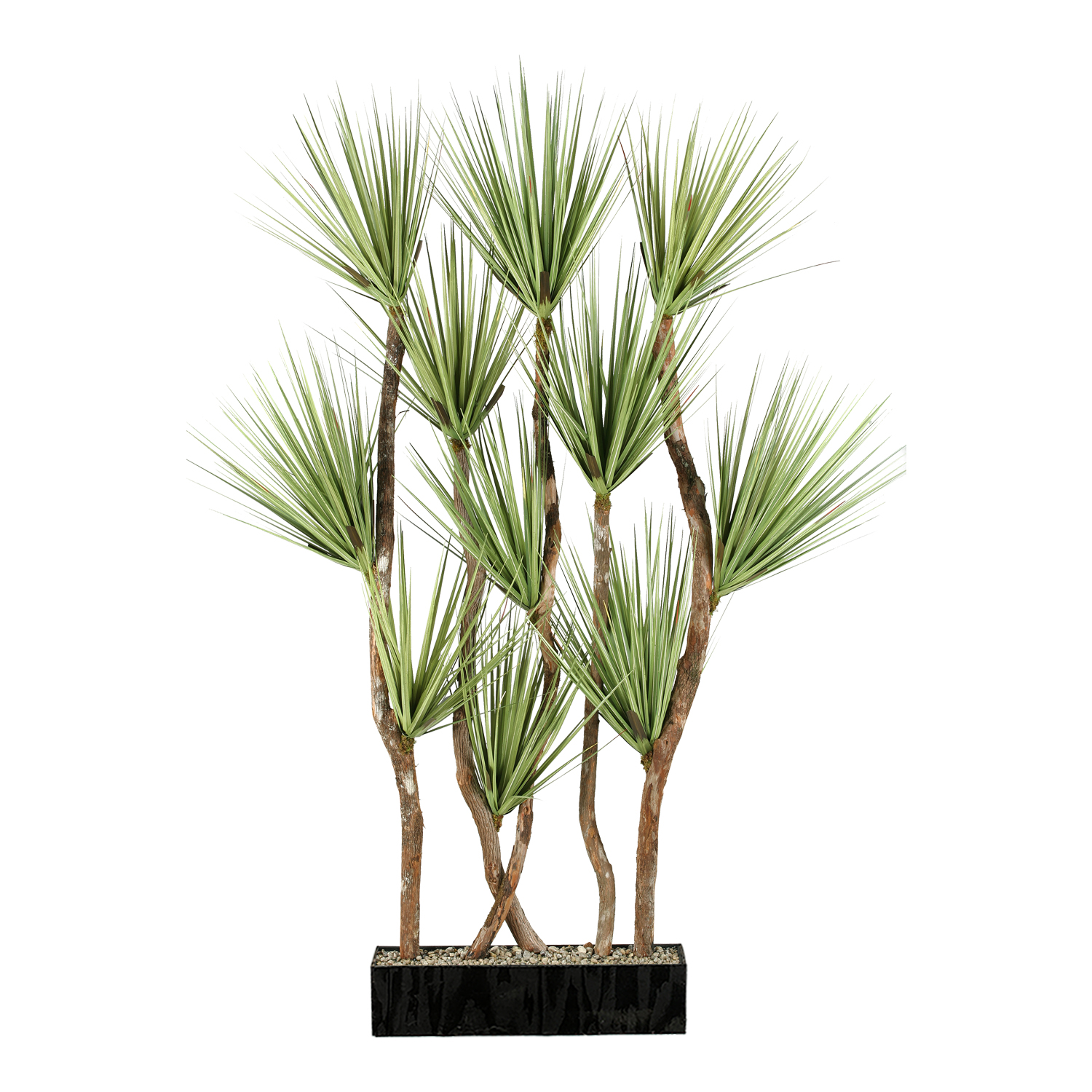 Onion Grass Screen in Prism Planter 8' - 316904
