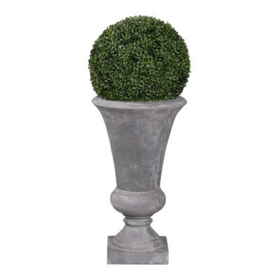 Boxwood Ball in Large Vasque Planter - 317410