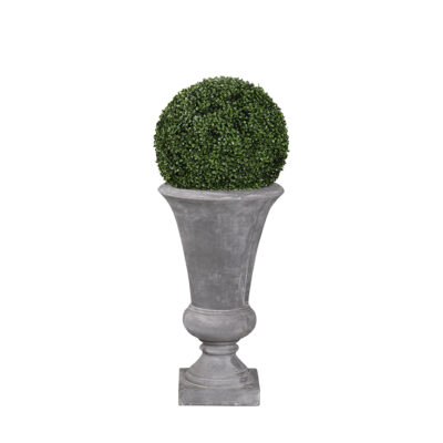 Boxwood Ball in Large Vasque Planter - 317410