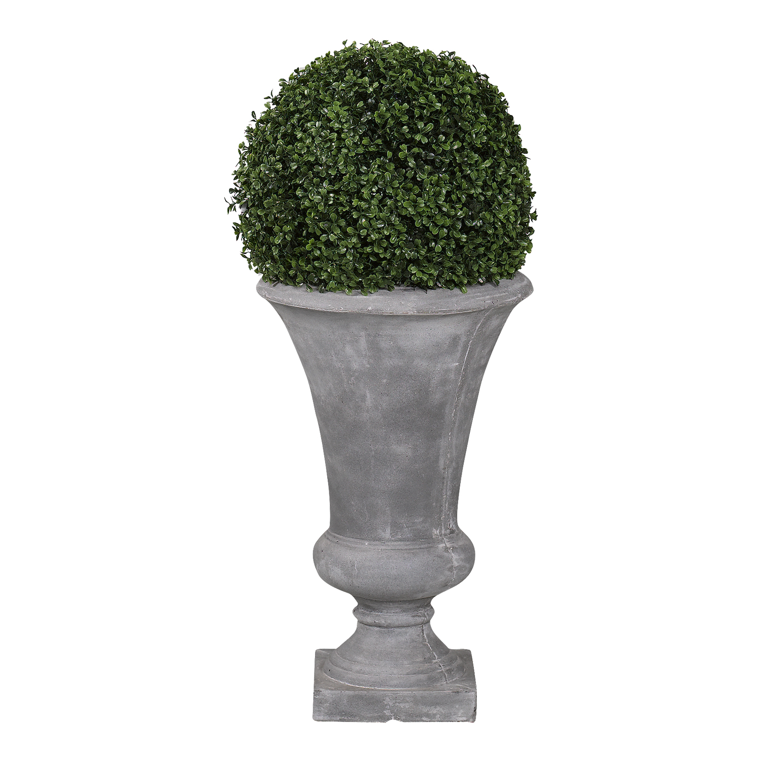 Boxwood Ball in Medium Vasque Planter - 317411