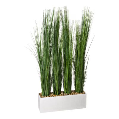 Tall Onion Grass Screen in White Wooden Rectangle Planter - 317418