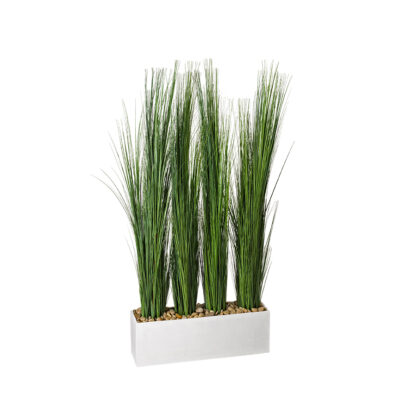 Tall Onion Grass Screen in White Wooden Rectangle Planter - 317418