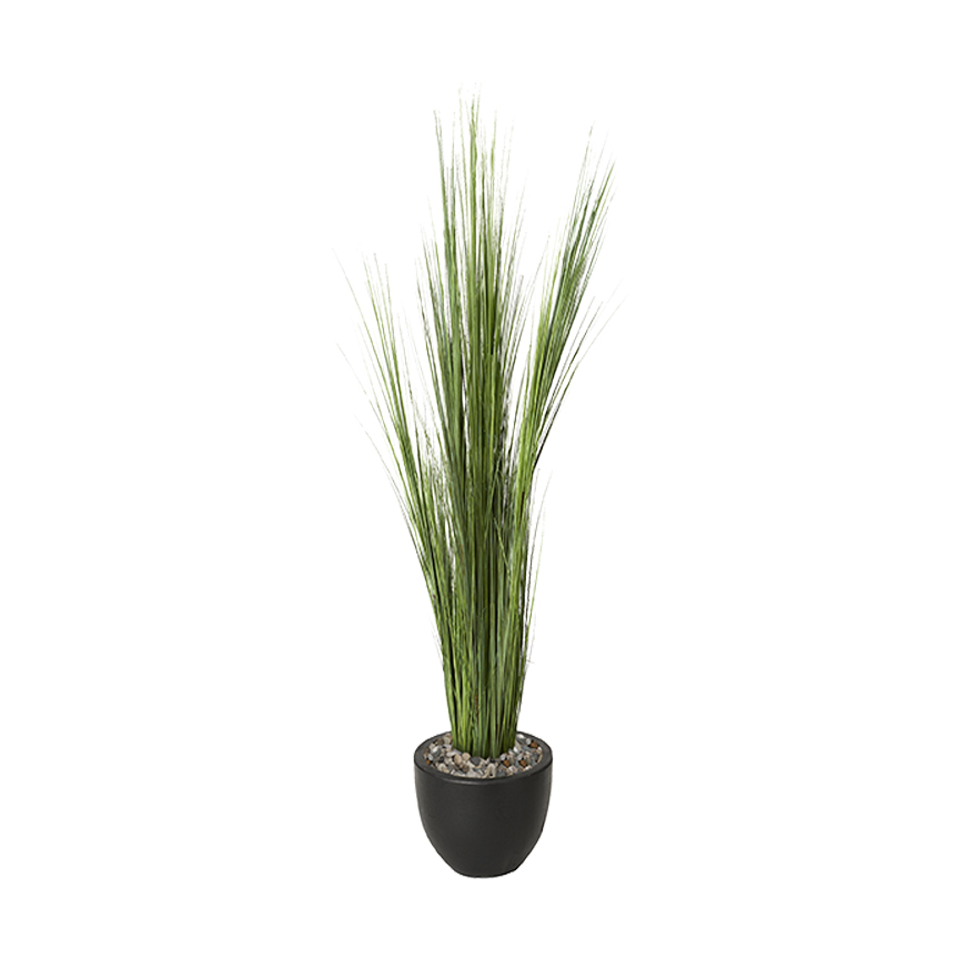 Onion Grass in Taylor Planter 6.5' - 317421 - Image 2