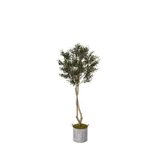 Olive Tree in Round Metal with Handles 6' - 317425