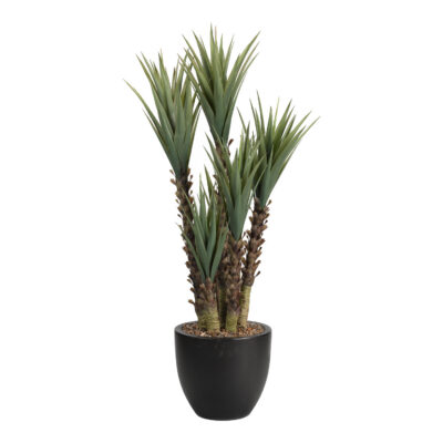 Yucca Plant in Taylor Planter 5.5' - 317903