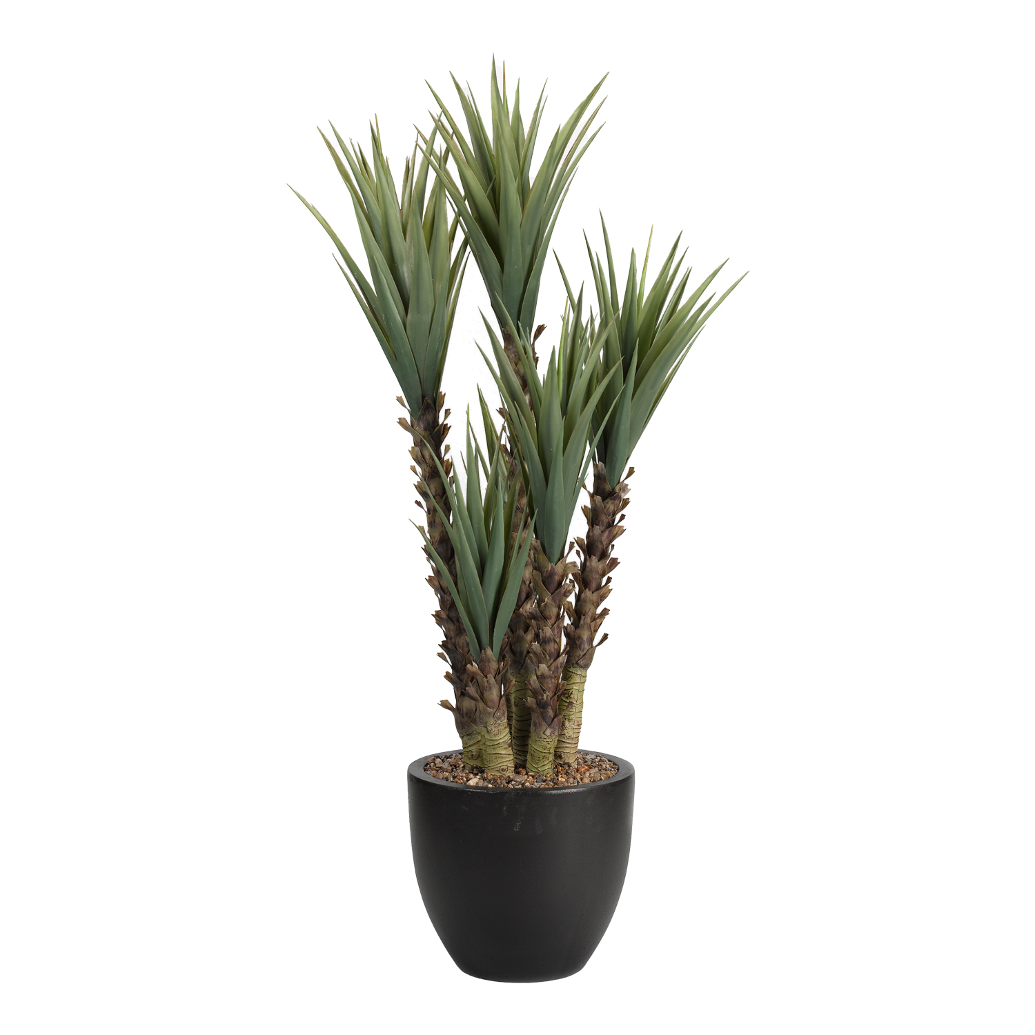 Yucca Plant in Taylor Planter 5.5' - 317903