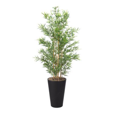 Bamboo Tree in Matte Planter 7' - 318103