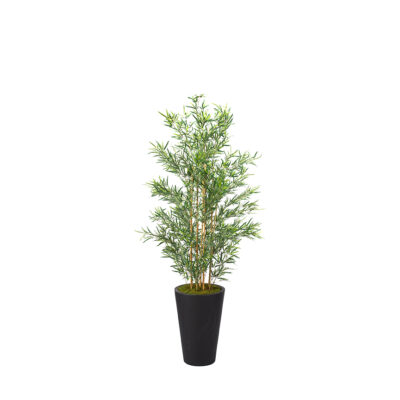 Bamboo Tree in Matte Planter 7' - 318103