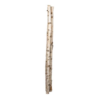 Large Birch Trunks 7' - 323019