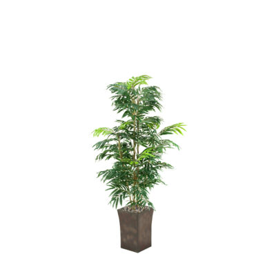 Phoenix Palm Tree in Heritage Planter 6' - 39230