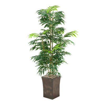 Phoenix Palm Tree in Heritage Planter 6' - 39230