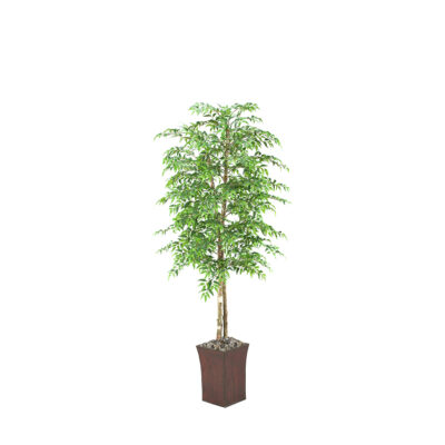Ruscus Tree in Heritage Planter 7' - 39776