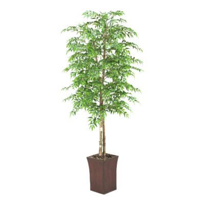 Ruscus Tree in Heritage Planter 7' - 39776
