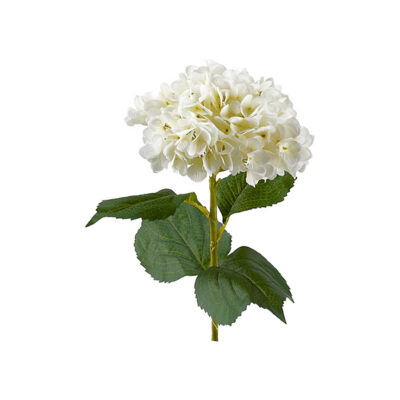 Cream Hydrangea Stem - FL1992
