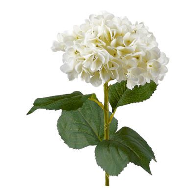 Cream Hydrangea Stem - FL1992