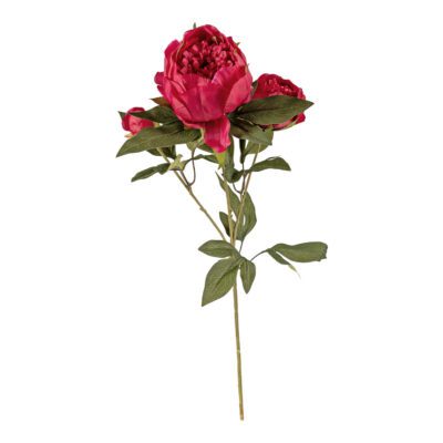 Burgundy Peony Stem - FL1997
