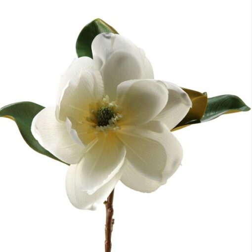 Cream Magnolia Stem - FL2056