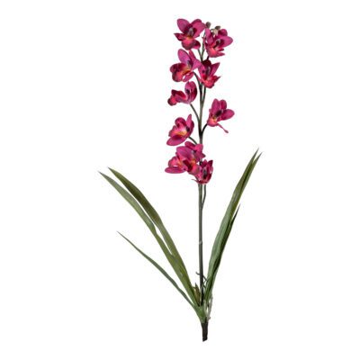 Purple Cymbidium Orchid Stem - FL2334