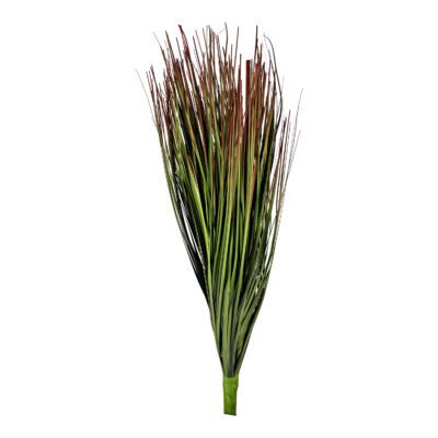 Burgundy/Green Onion Grass - GR1282