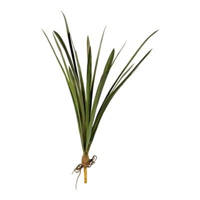 Green Areca Grass - GR1599