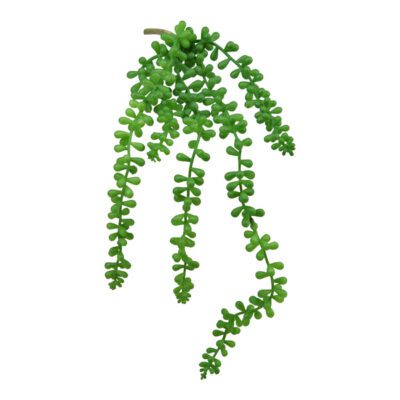 Green Sedum Spray - GR1607
