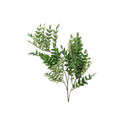 Locust Spray - GR1757