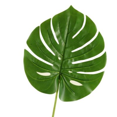 Medium Split Philo Leaf - GR1908