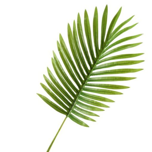 Small Hawaiian Palm Leaf - GR1919