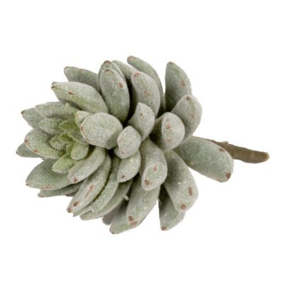 Flocked Agave - GR1935