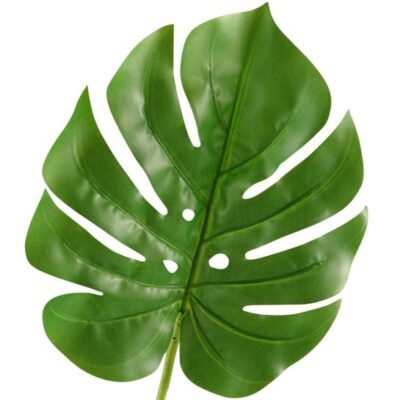 Small Split Leaf Philo - GR1939