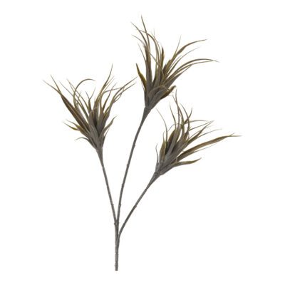 Green Agave Spray - GR1984