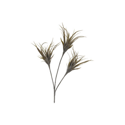 Green Agave Spray - GR1984