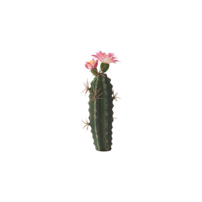 Finger Cactus with Pink Bloom - GR1996