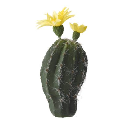 Mini Oval Cactus with Yellow Bloom - GR1998