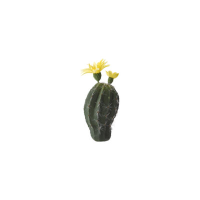 Mini Oval Cactus with Yellow Bloom - GR1998