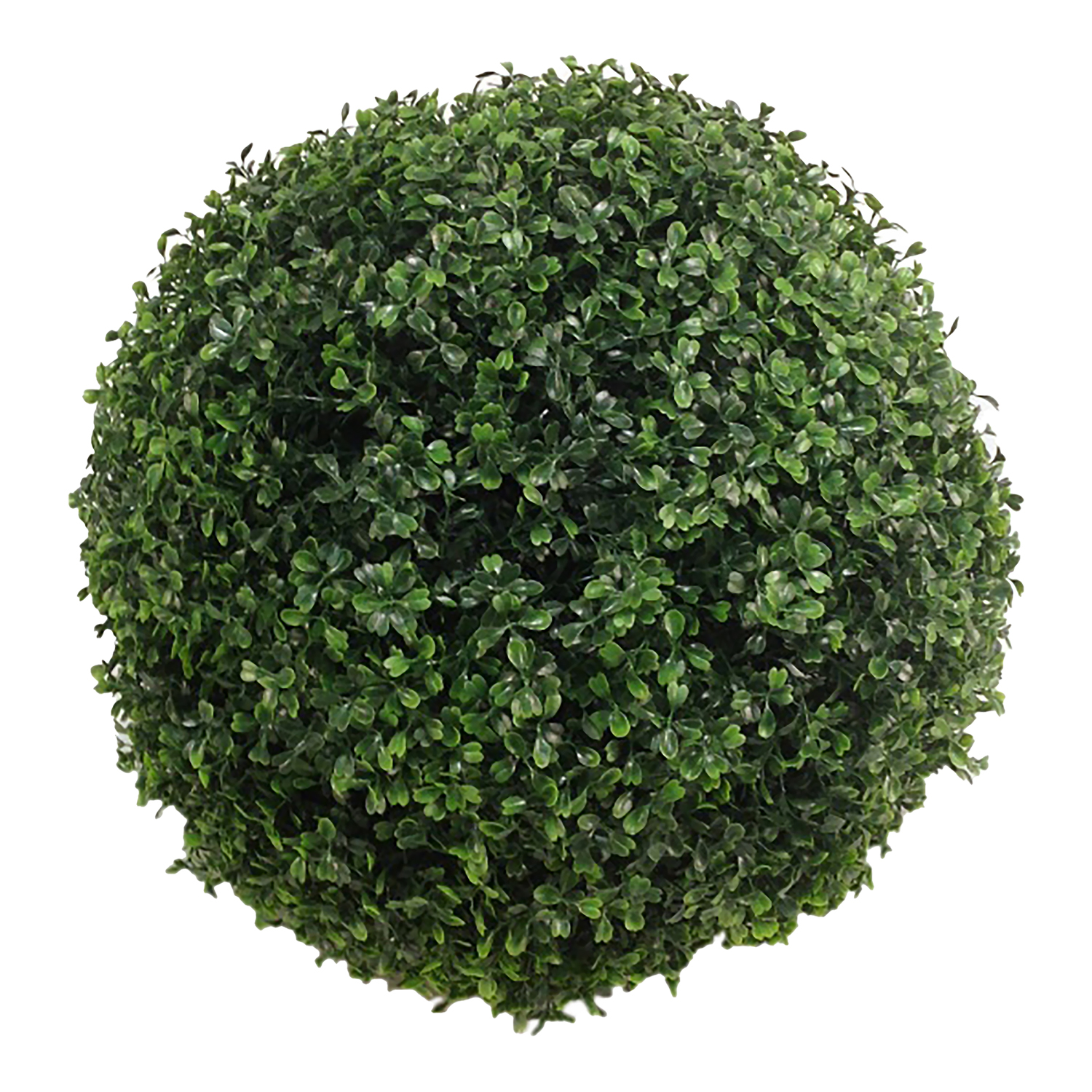 Large Boxwood Ball - TL590