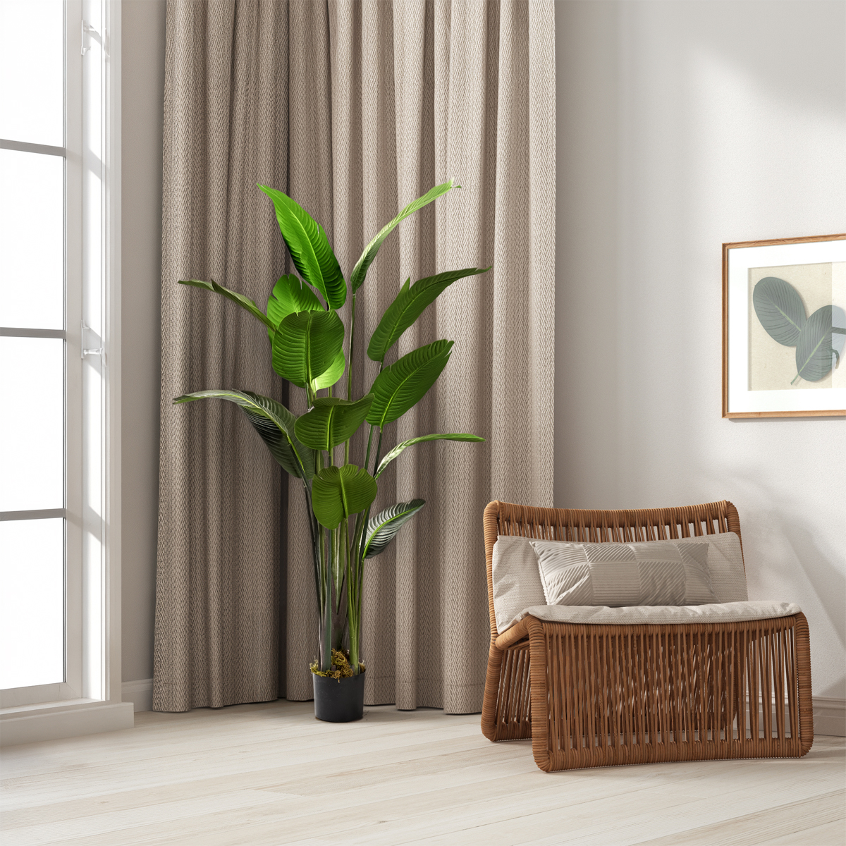 Traveler Palm Tree 6' - TL727 - Image 2