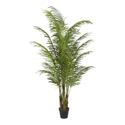 Areca Palm Tree 8' - TL753
