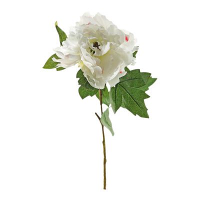 Cream/Pink Peony Stem - FL1501