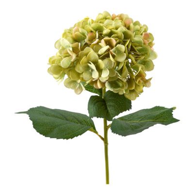 Green Hydrangea Stem - FL1991