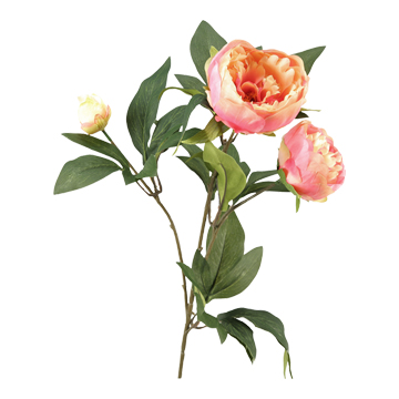Pink Peony Stem - FL1995