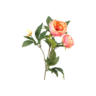 Pink Peony Stem - FL1995