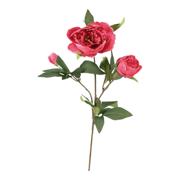 Burgundy Peony Stem - FL1997