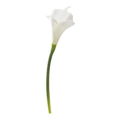 Small White Calla Lily Stem - FL2134