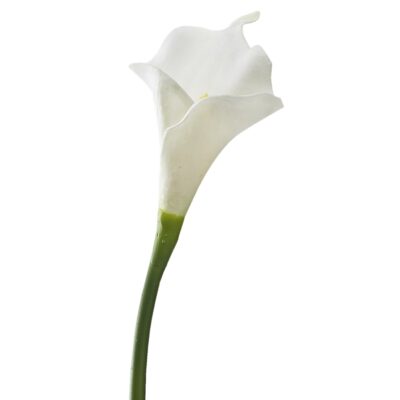 Small White Calla Lily Stem - FL2134
