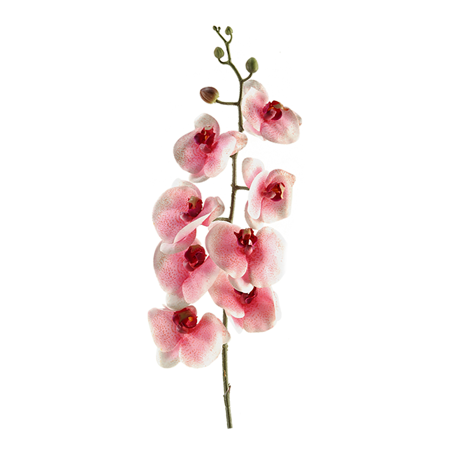 Pink Phal Orchid Stem - FL2280