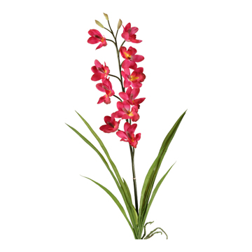 Purple Cymbidium Orchid Stem - FL2334