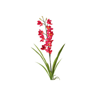 Purple Cymbidium Orchid Stem - FL2334