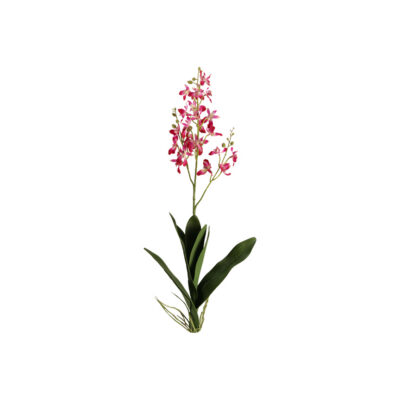 Pink Dendrobium Orchid Stem - FL2339